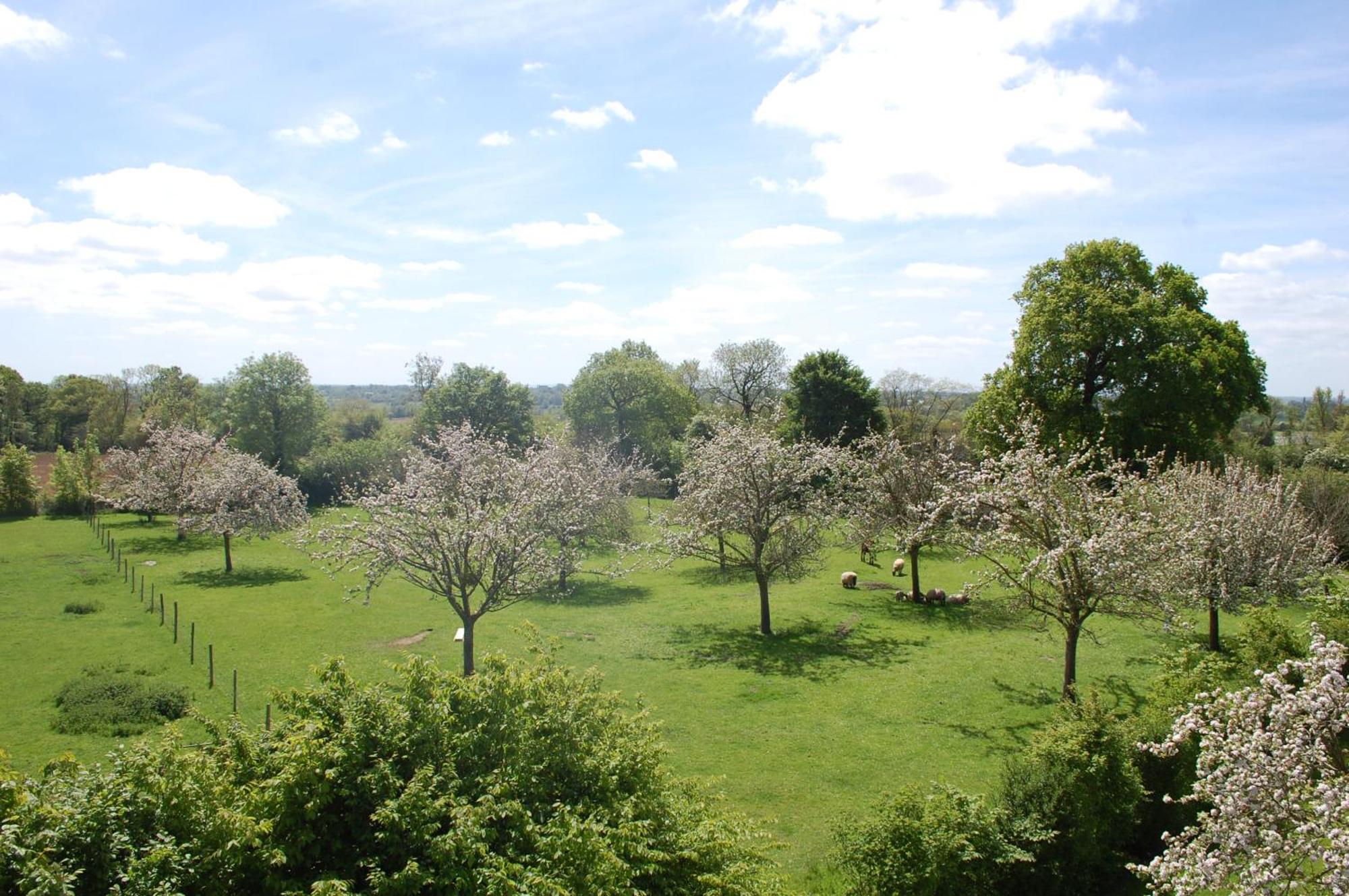 Le Clos Des Pommiers Bed & Breakfast
