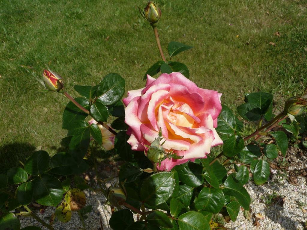 Le Clos Des Pommiers Tracy-sur-Mer
